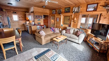 Smart TV, fireplace, DVD player, video library