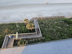 Een voetpad aan het strand met een houten terras en palmbomen.