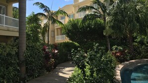 A pathway leading to a pool surrounded by lush greenery and a multi-story building with balconies.
