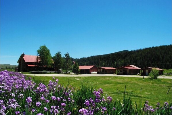 Overnatningsstedets område