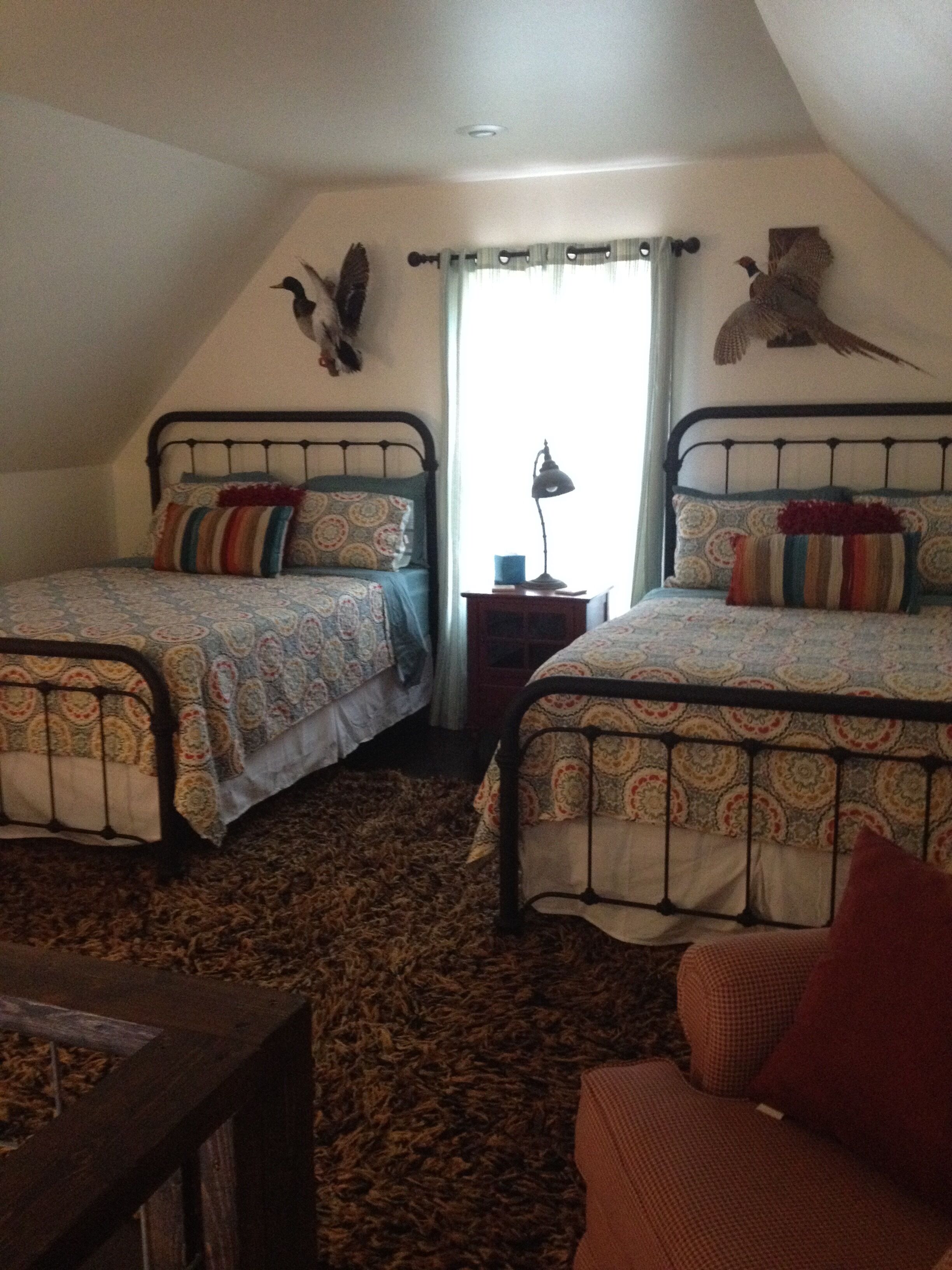 Adorable Cottage / Cabin nestled between the Little and the Big Buffalo River