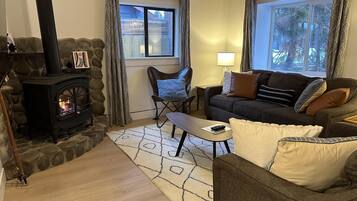 TV connectée, cheminée, lecteur de DVD, livres