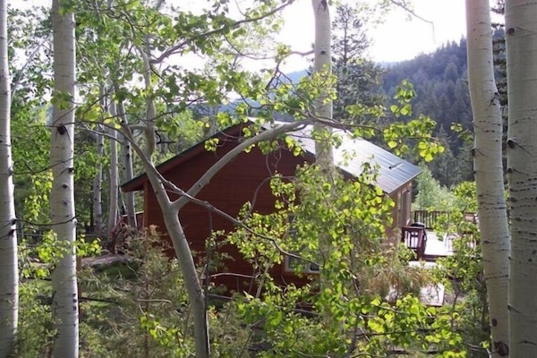 Spruce Ridge Cabin in the aspens surrounded by National Forest summertime
