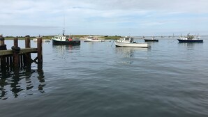 A calm harbor with several boats docked at a wooden pier. - Chatham Village - Adorable Studio Apartment in Antique Home (Chatham)