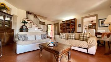 Télévision, cheminée, lecteur de DVD, livres