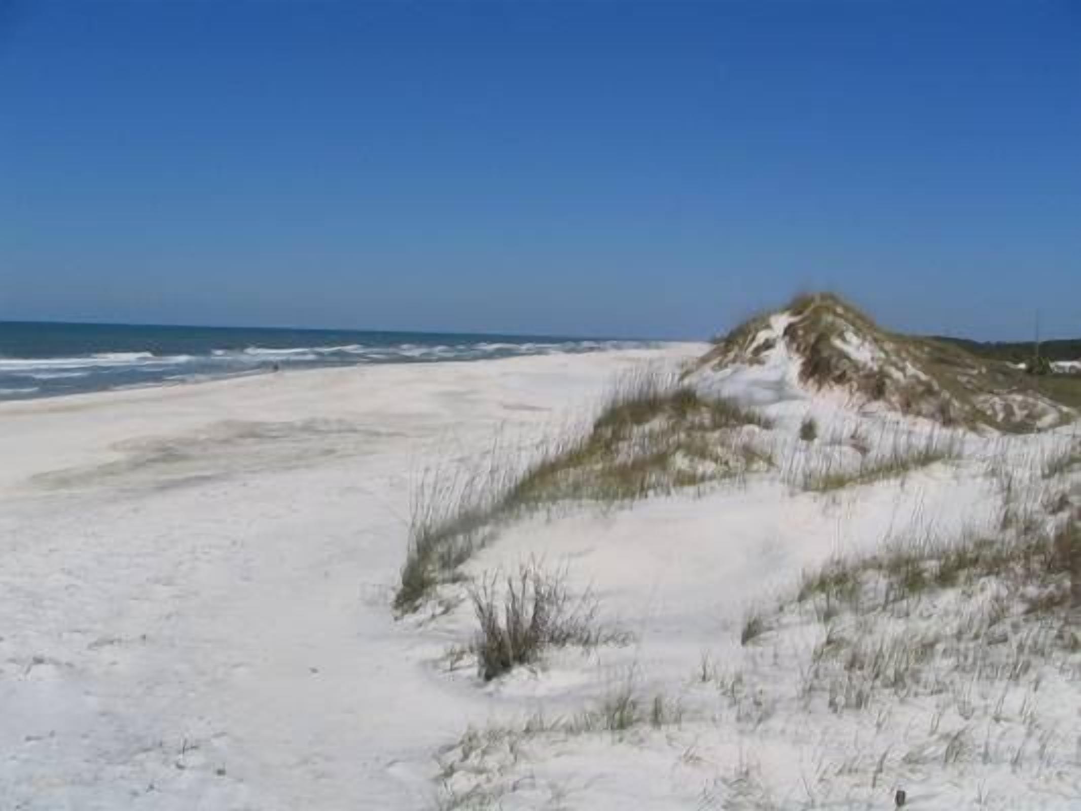 Playa