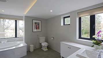 Bañera y ducha independientes, bañera profunda