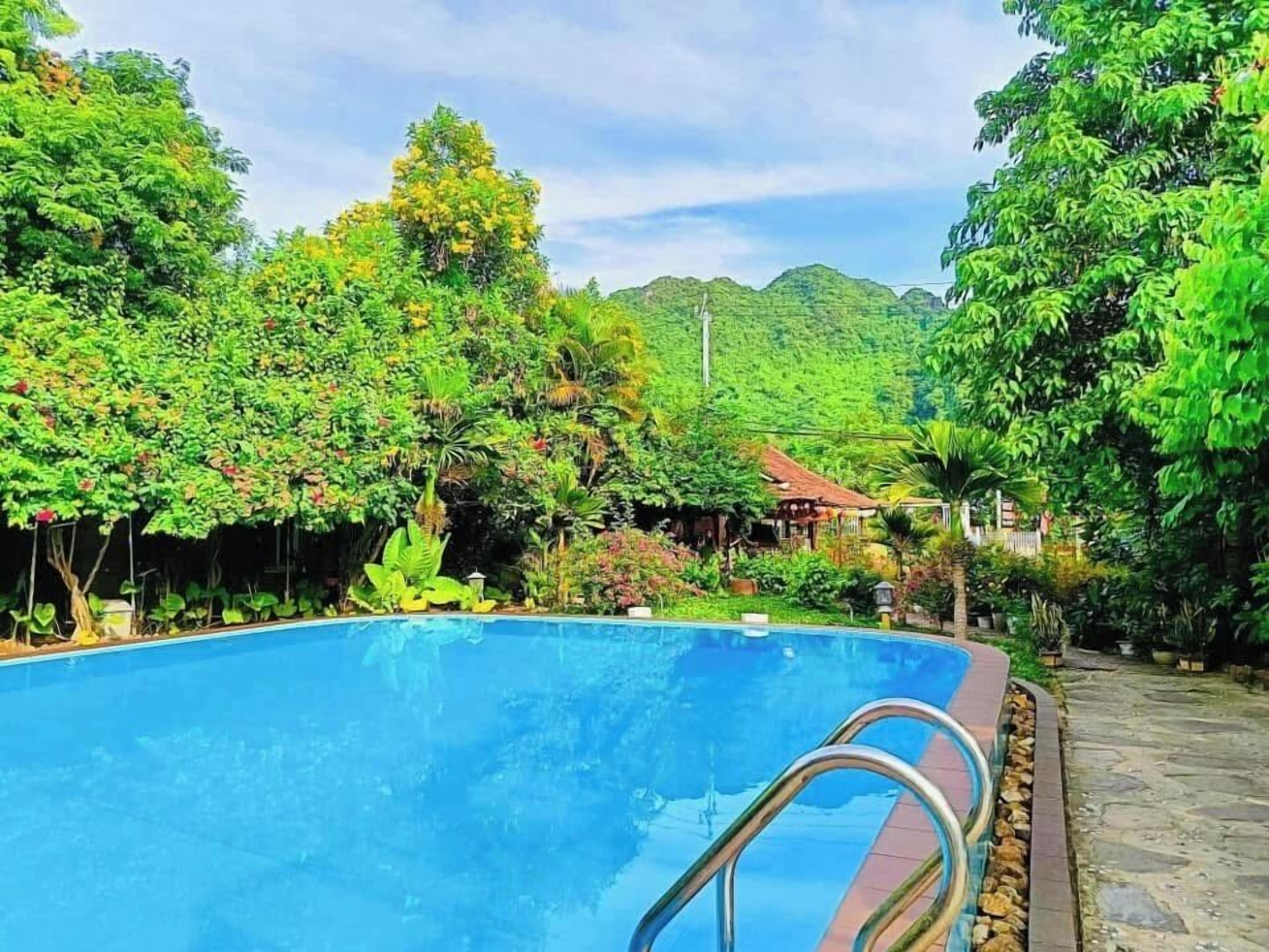 A swimming pool surrounded by lush greenery and a mountain in the background.