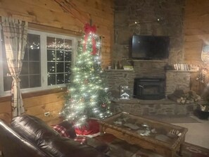 Smart TV, fireplace, DVD player, books