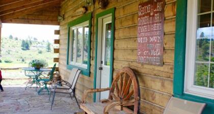 Cozy Log Cabin, Unbeatable Views, Skiing, Pet Friendly!