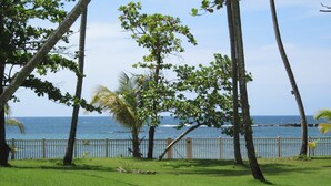 Une zone herbeuse avec des arbres et une clôture blanche, d’où l’on a une vue sur l’océan.