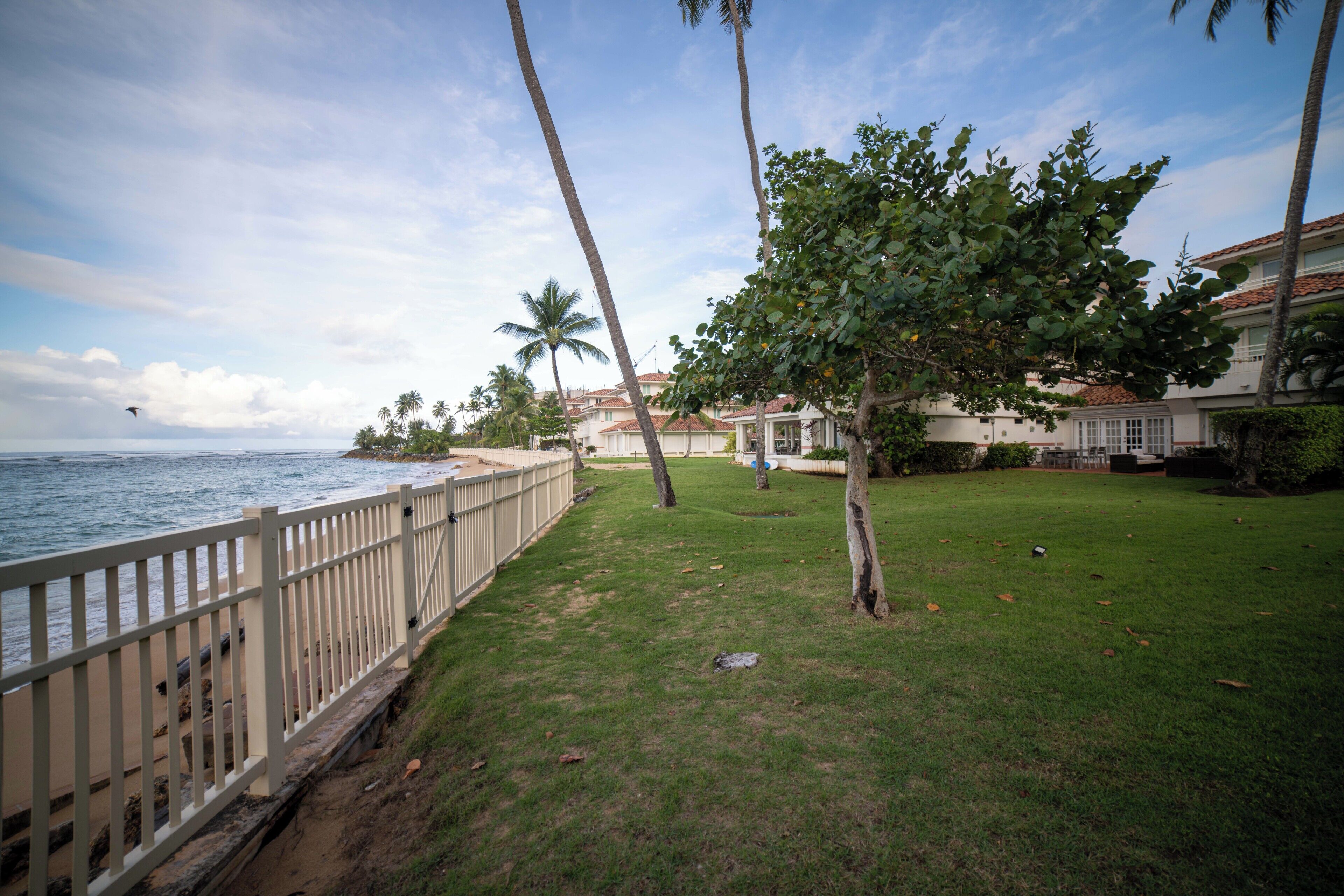 A coastal property with a grassy lawn, palm trees, and a view of the ocean.