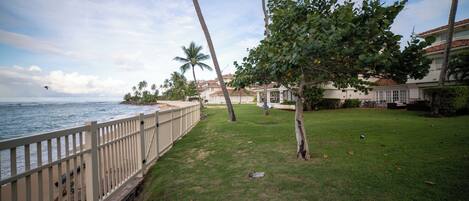 A coastal property with a grassy lawn, palm trees, and a view of the ocean.