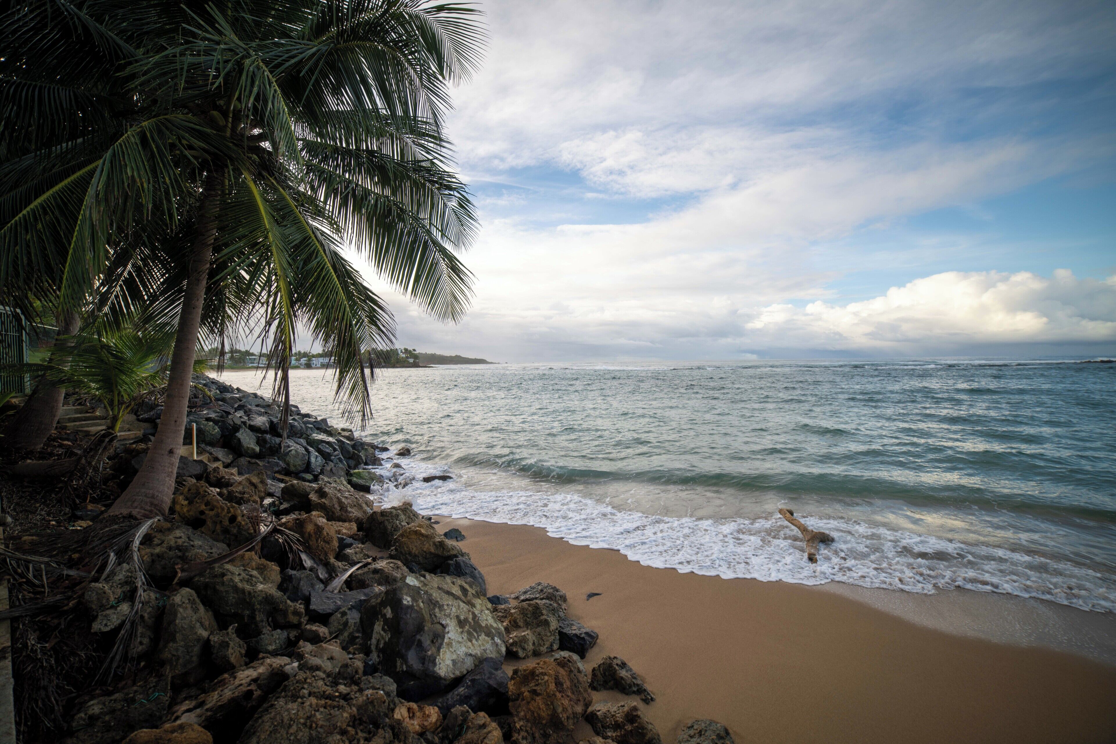Une plage avec un rivage rocheux, des palmiers et des vagues de l’océan.