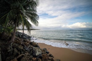 A beach with rocky shoreline, palm trees, and ocean waves.