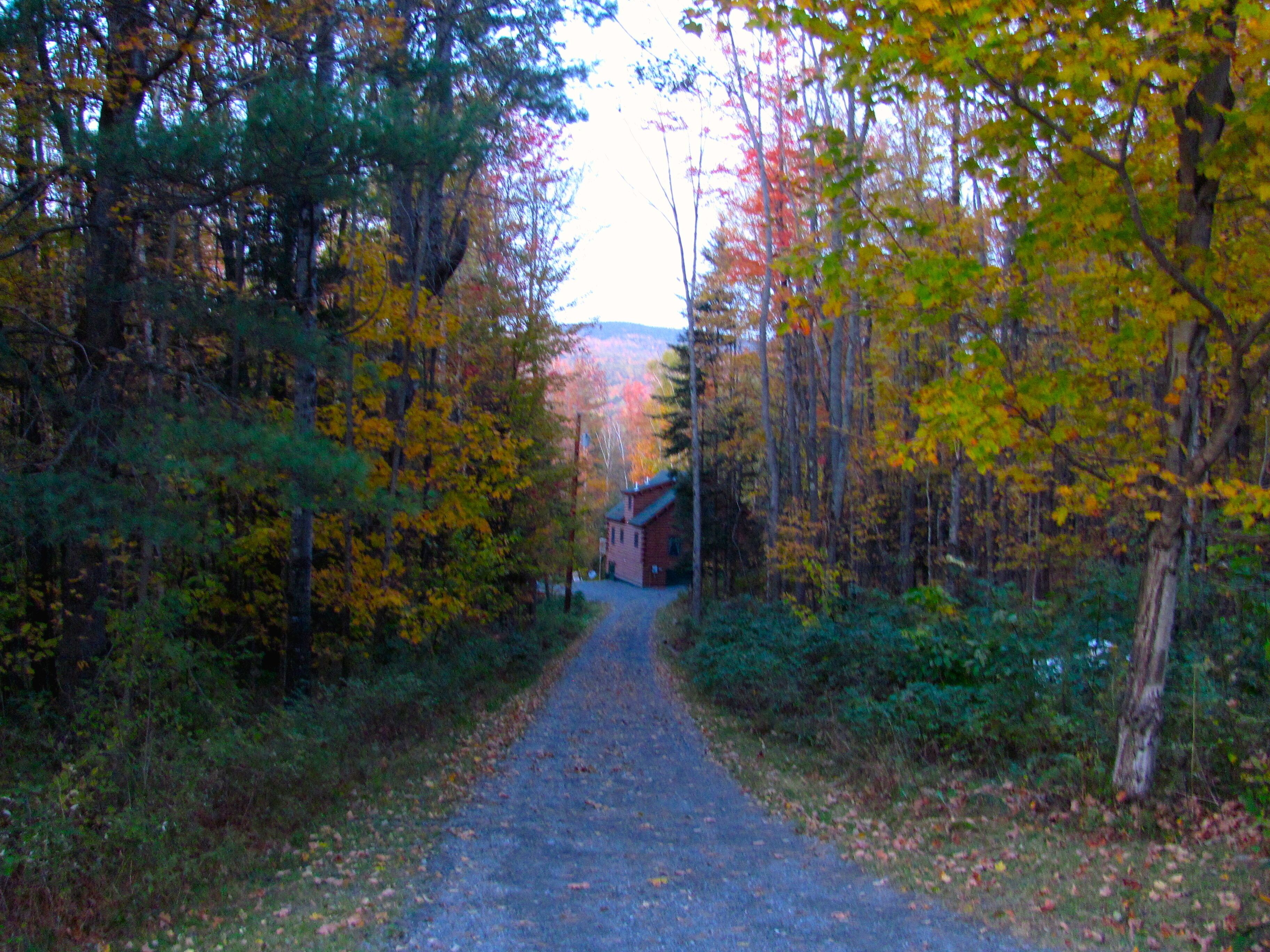 Beautiful 3-bedroom Log Cabin On 50+ Acres Overlooking the White Mountains