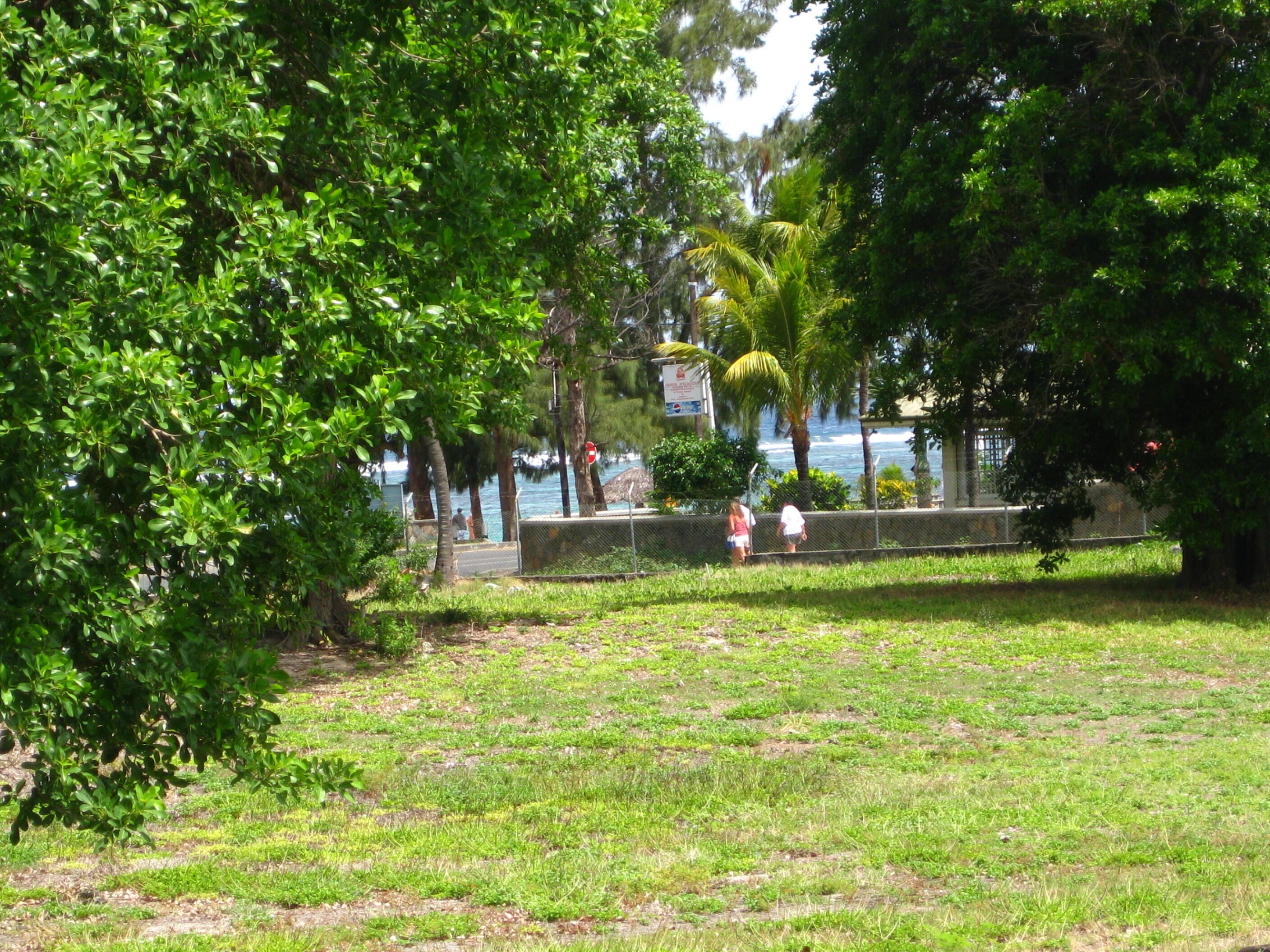 Un parc avec une pelouse, des arbres et une vue sur l’océan.