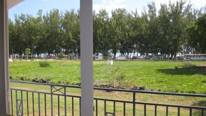 Uitzicht vanaf een balkon met een balustrade, op een grasveld met bomen en geparkeerde voertuigen.