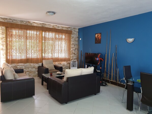 Televisión, reproductor de DVD, libros y estéreo 