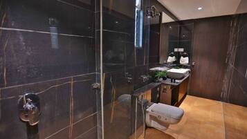 A modern bathroom with a glass shower enclosure, a toilet, and a sink area with a mirror and towel rack.