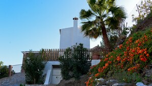 Un edificio de fachada blanca, un camino de piedra y una palmera.