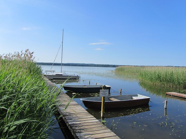 Unclassified image, 1 of 25, button