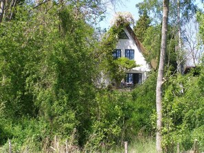 Unclassified image, 5 of 25, button