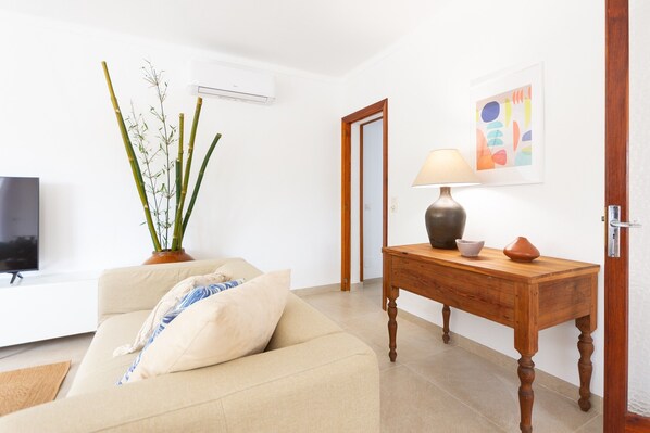 تلفزيون