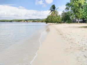 Beach -  MARIE GALANTE VACANCE  (SAINT LOUIS)