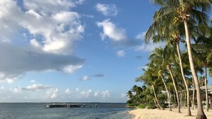 Une plage avec une eau cristalline, des palmiers et une jetée.
