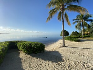 A beach with a clear sky, palm trees, and a calm sea.