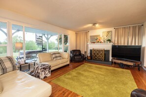 Smart TV, fireplace, books