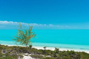 A beach with clear turquoise water, a lone tree, and some greenery in the foreground.