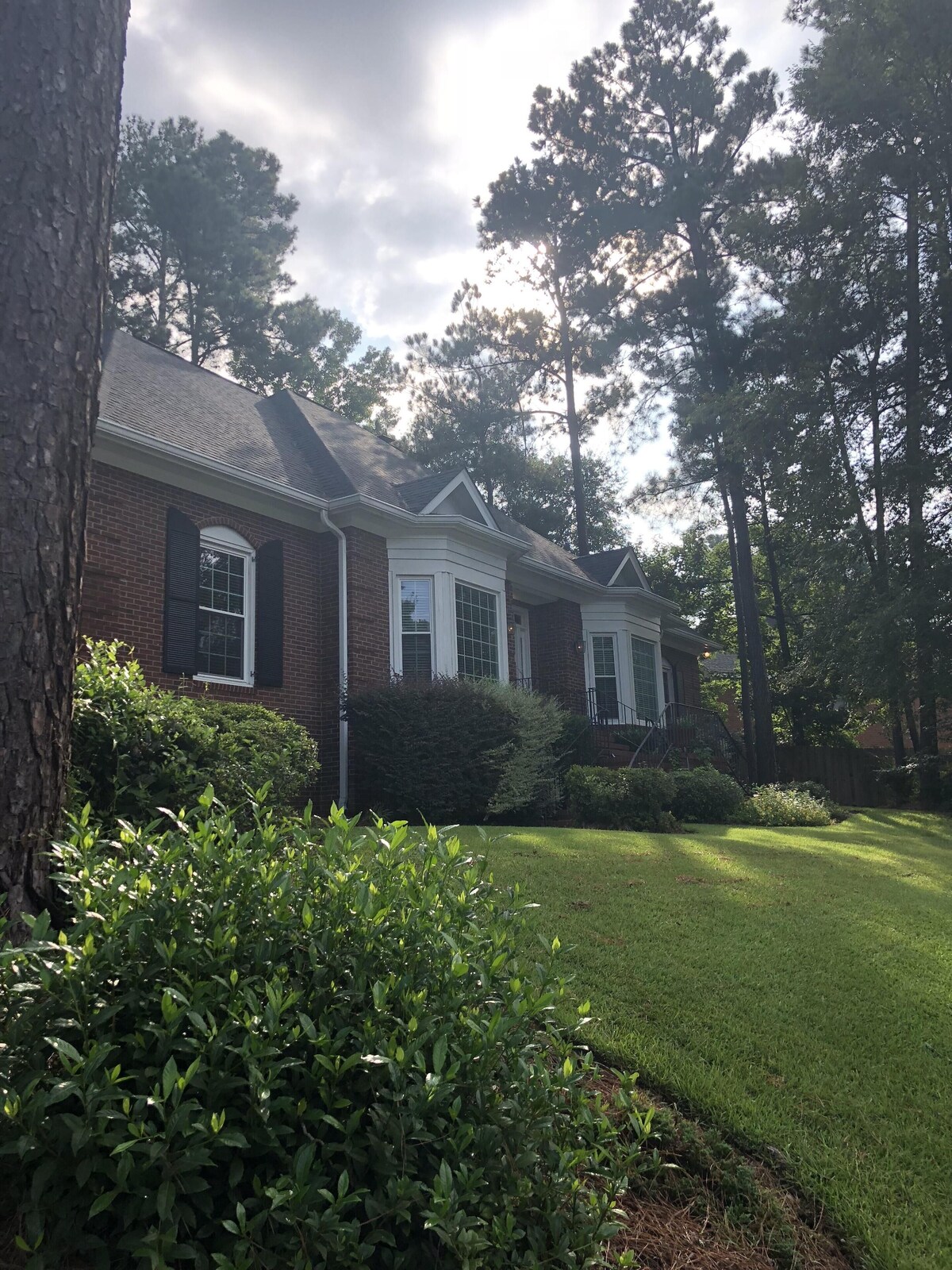 Image de profil de l’hôte