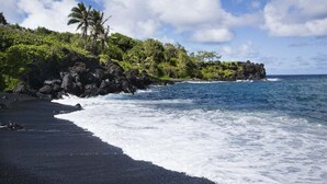 A black sand beach with ocean waves, lush greenery, and palm trees.