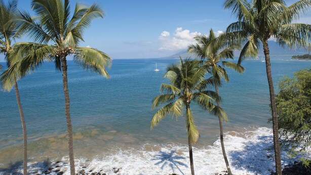 A beach with palm trees and a clear view of the ocean. - Spectacular! Full A/C Penthouse Level Ocean Front 1 Bedroom - # 608 (Kihei)