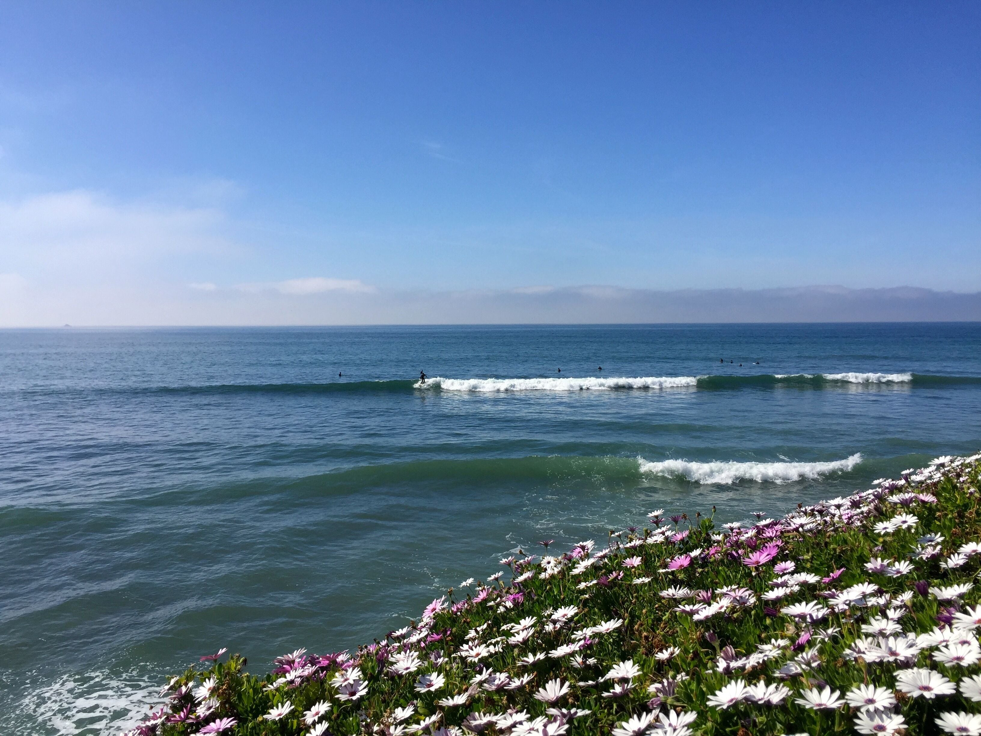 Breathtaking Views, Great Surf  - The Perfect Mexican Getaway!