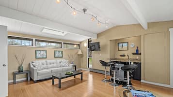 Smart TV, chimenea y reproductor de DVD
