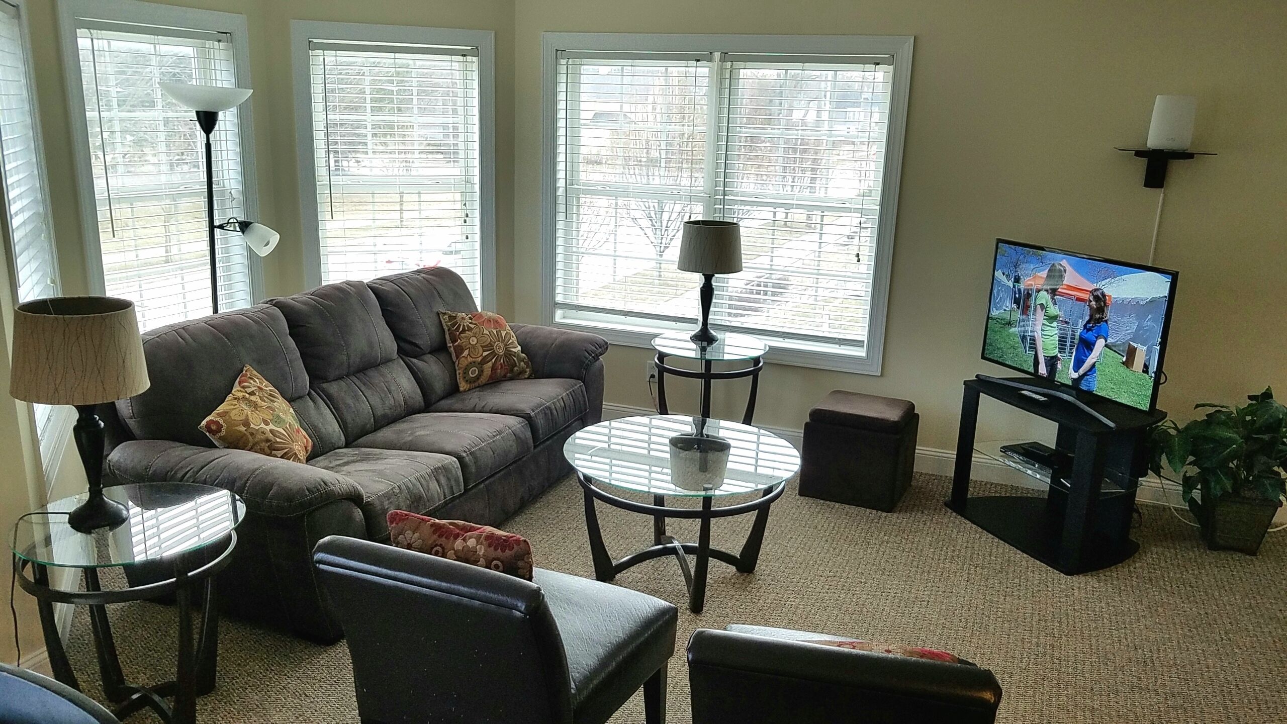 Downtown condo with great park view, easy walk to downtown attractions, wifi