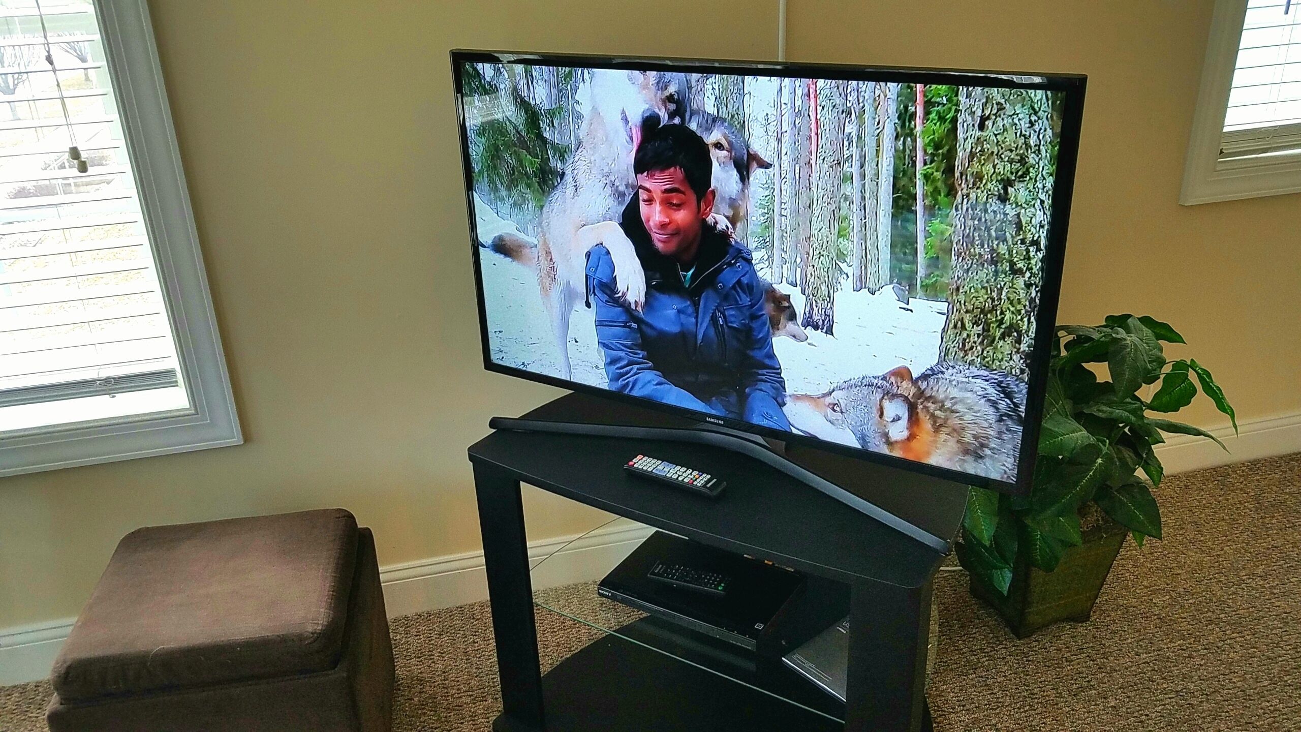 Downtown condo with great park view, easy walk to downtown attractions, wifi