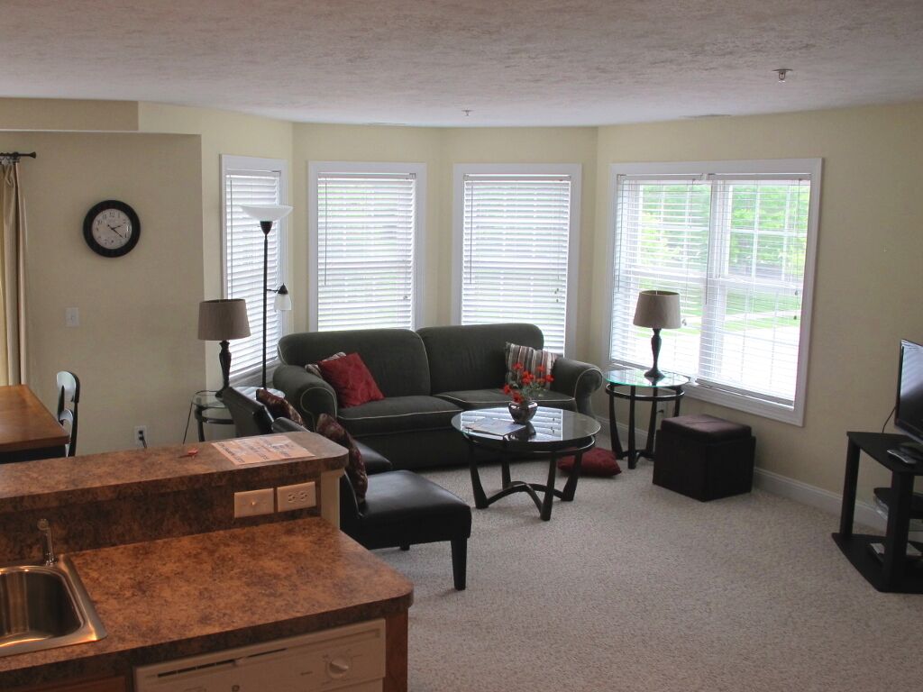 Downtown condo with great park view, easy walk to downtown attractions, wifi