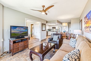 Televisio, DVD-soitin, videokirjasto