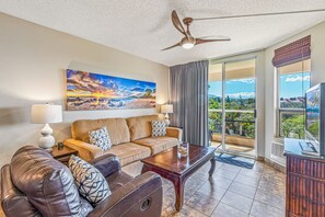 TV, DVD player, video library