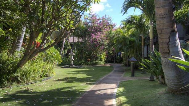 Un sendero en un jardín con una estatua, palmeras y plantas con flores.
