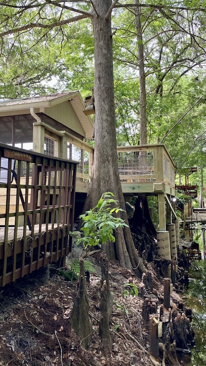 Pet friendly free use of kayaks,bikes great dock and screen room fenced yard