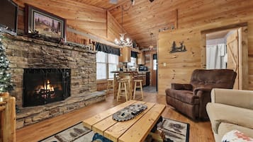 Smart TV, fireplace, DVD player, video library