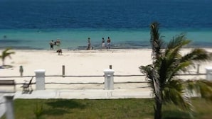 Una playa con valla blanca y palmeras, que da al océano.