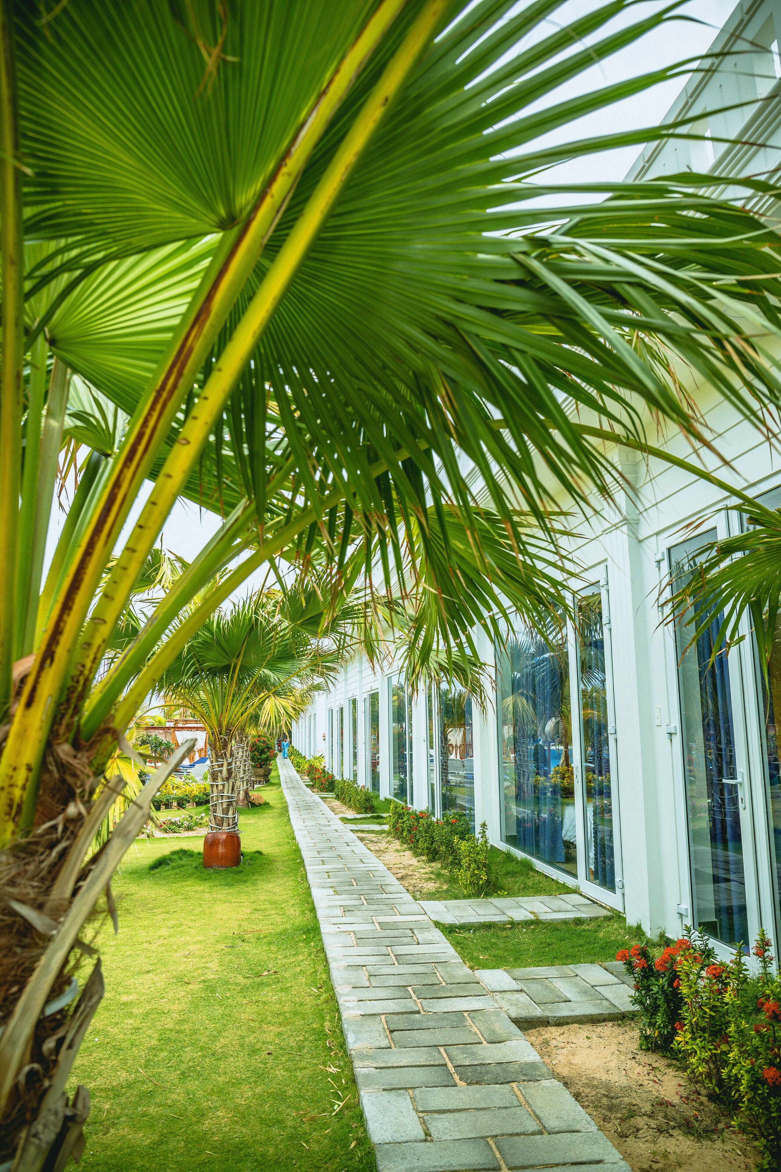 double room, 1 double bed, garden view | garden view