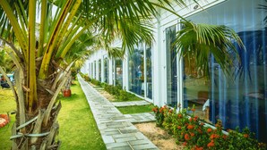 A pathway lined with palm trees and a glass building with a brick pathway. - Suoi TIen Hills Hotel (Mui Ne)