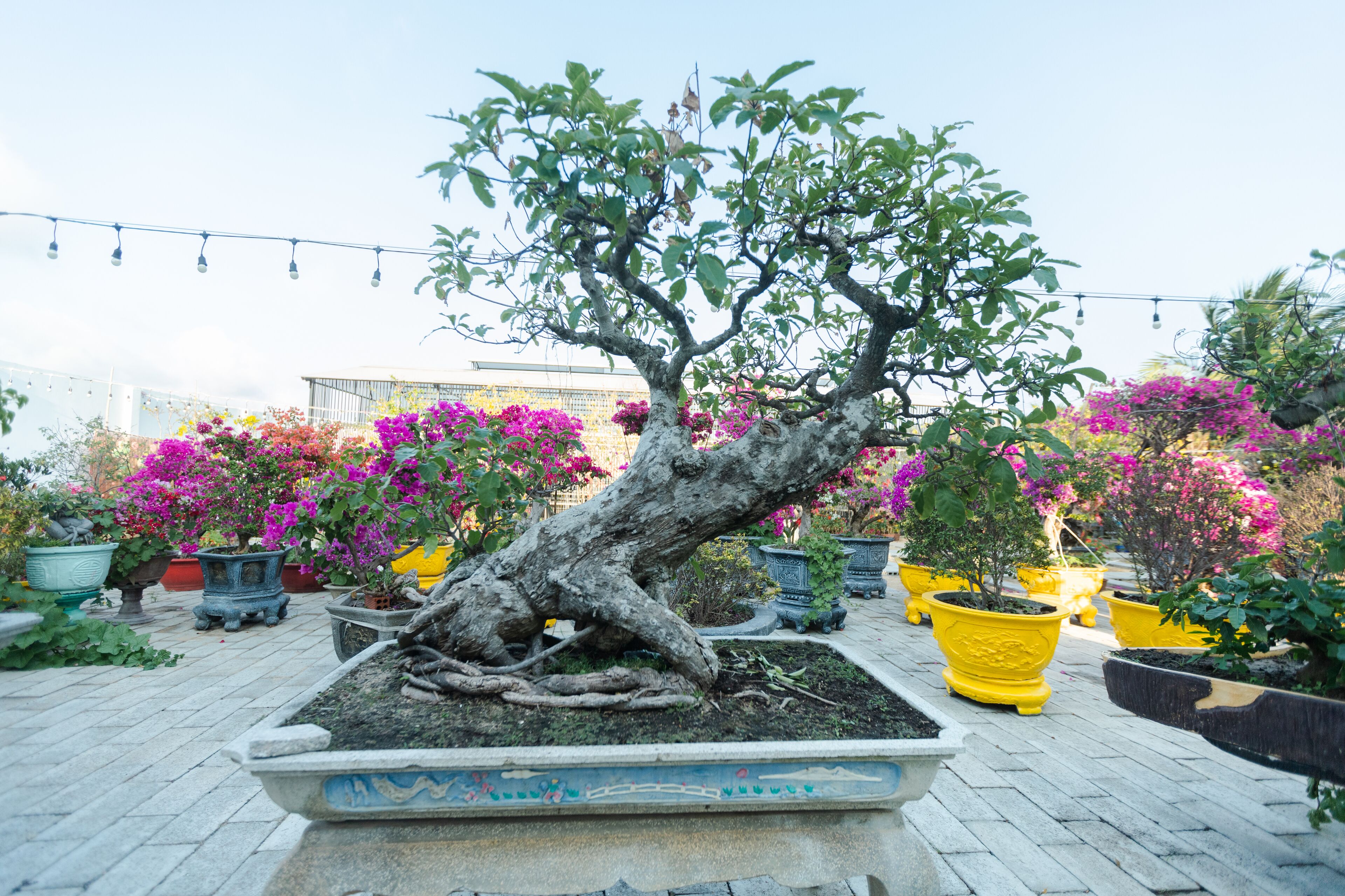 double room, 1 double bed, garden view | 1 bedroom, individually decorated, desk, blackout curtains